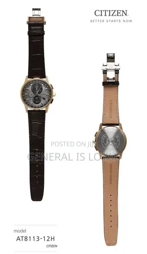 Genuine Citizen Eco Drive Radio Control Watch Men Leather Chronograph
