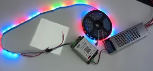 Jaycruise-Wh8532- Muiti Color/RGB- Running Light 24V 10meters