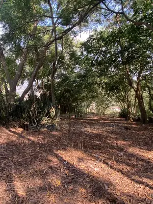 6 Plots of Land at Peduase Around Hephzibah Prayer Retreat