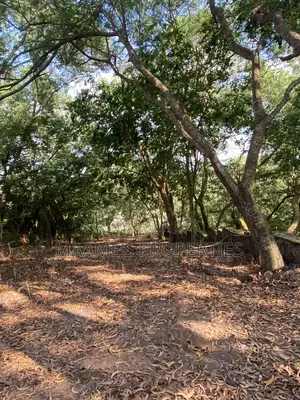 6 Plots of Land at Peduase Around Hephzibah Prayer Retreat