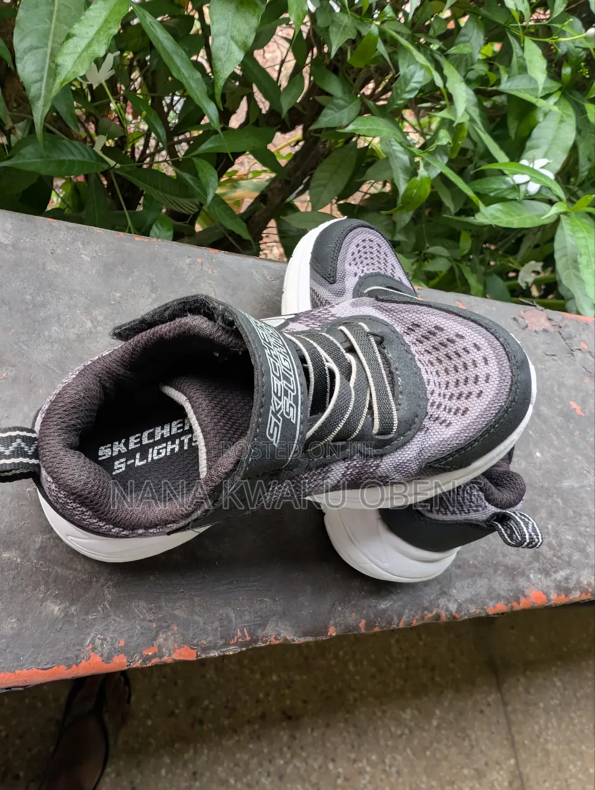 Skechers Shoes for Kids 24