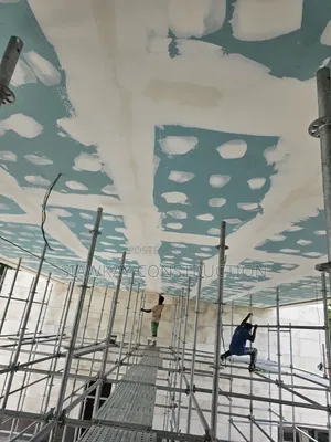 Plasterboard Ceiling Management