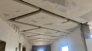Plasterboard Ceiling Management