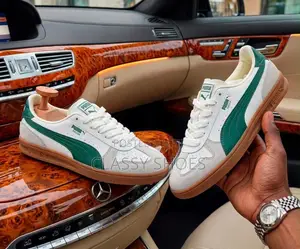 Puma Indoor Cream and Green
