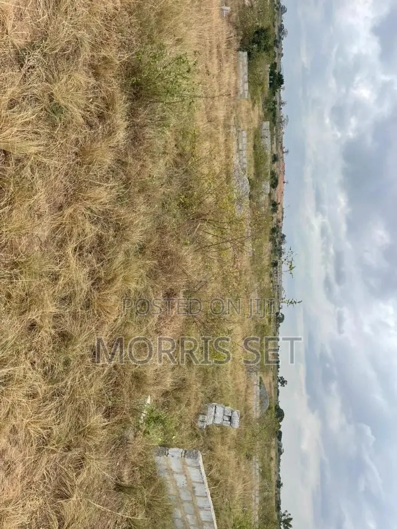Registered Land for Sale at Apolonia City