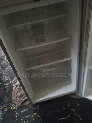 Professional Fridge Repairer