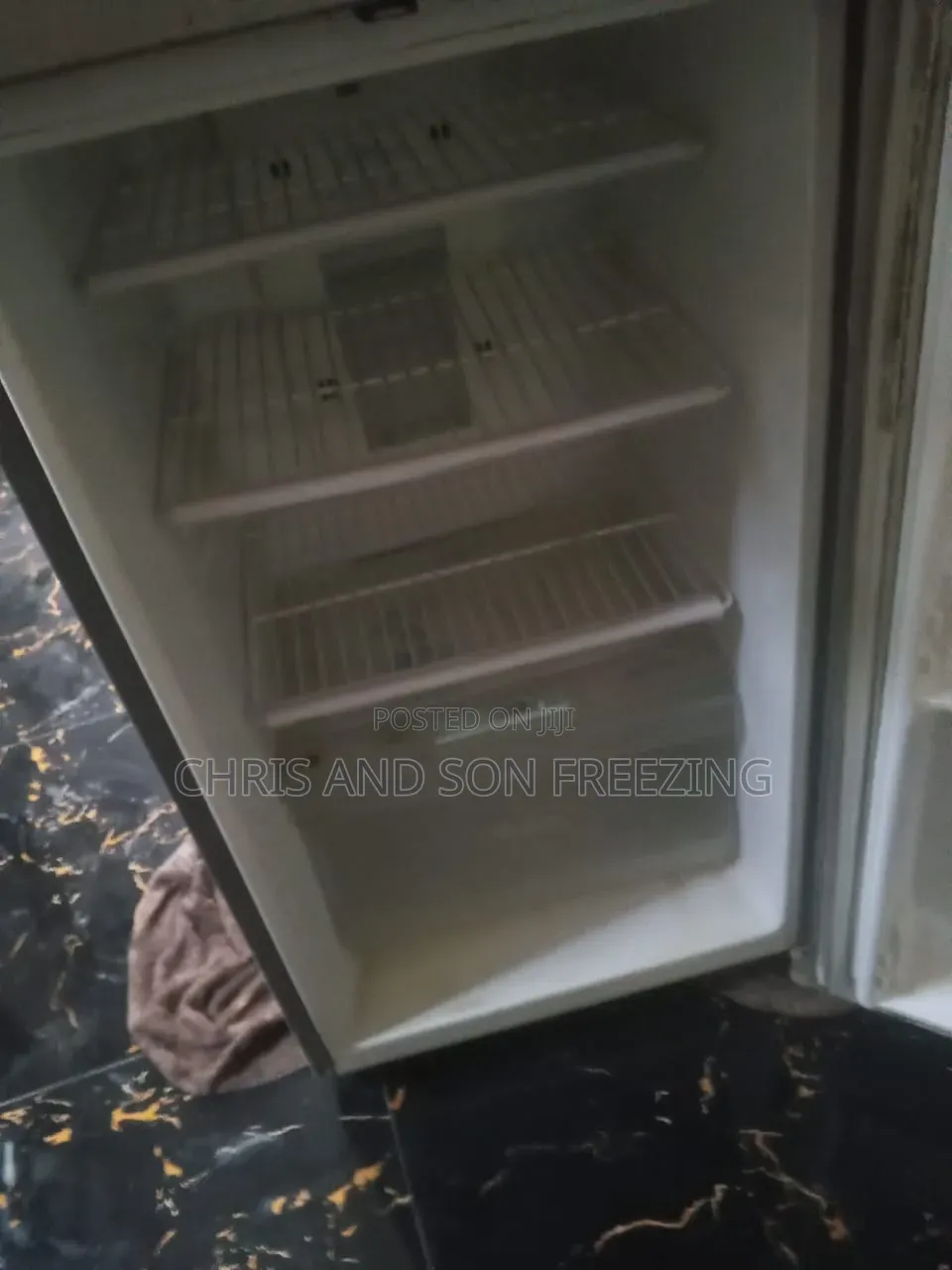 Professional Fridge Repairer