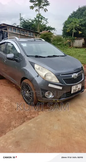 Chevrolet Spark 2010 Gray