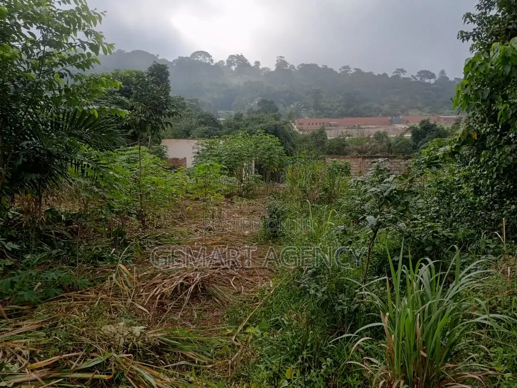 Plots of Land for Sale – Aburi Kitase