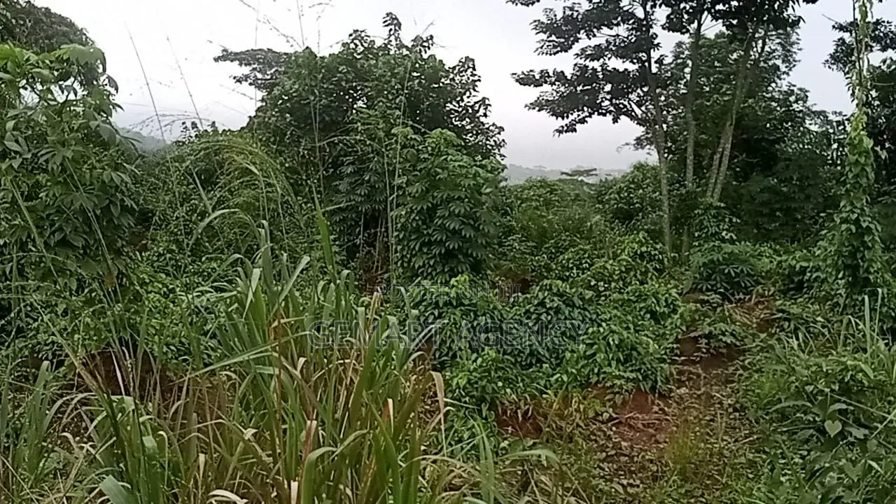 Plots of Land for Sale – Aburi Kitase