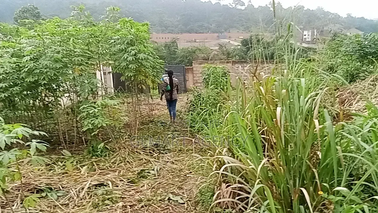 Plots of Land for Sale – Aburi Kitase