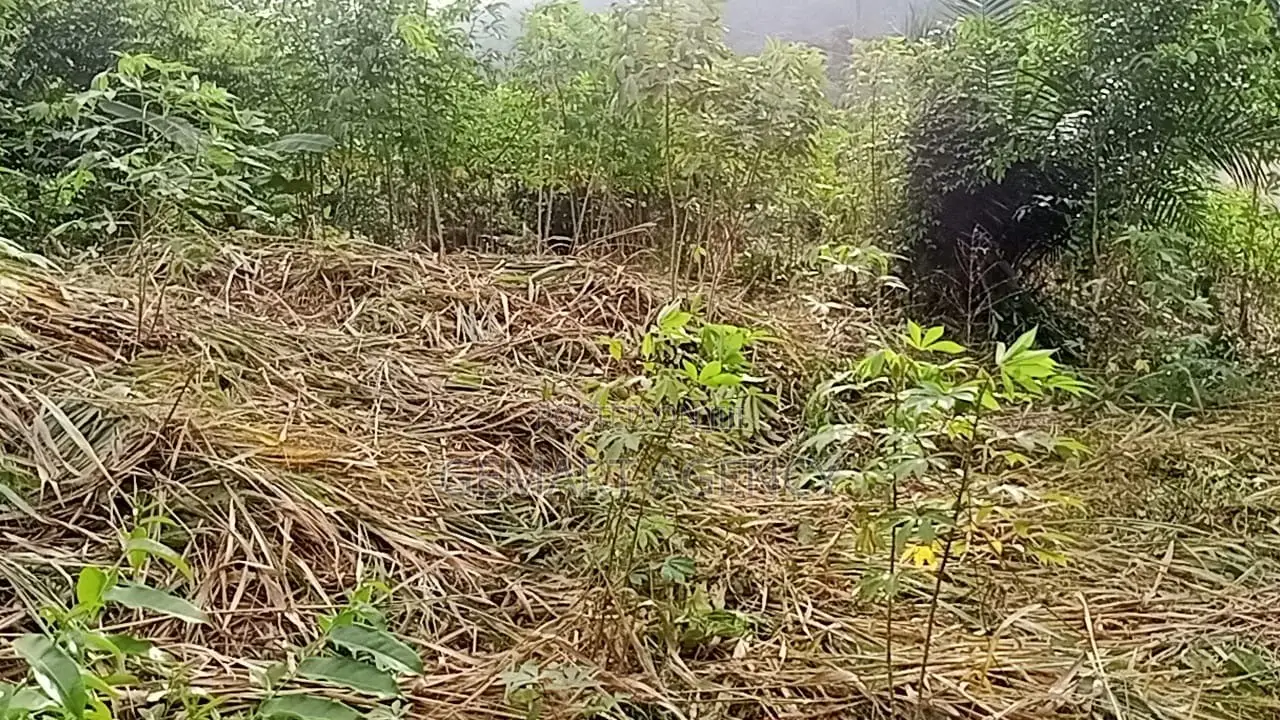 Plots of Land for Sale – Aburi Kitase