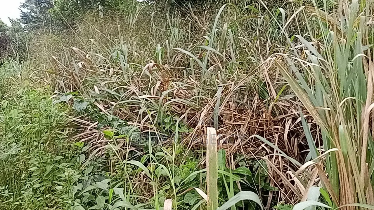 Plots of Land for Sale – Aburi Kitase