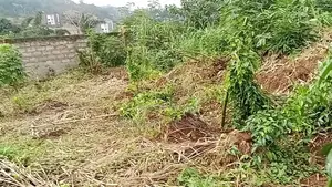 Plots of Land for Sale – Aburi Kitase
