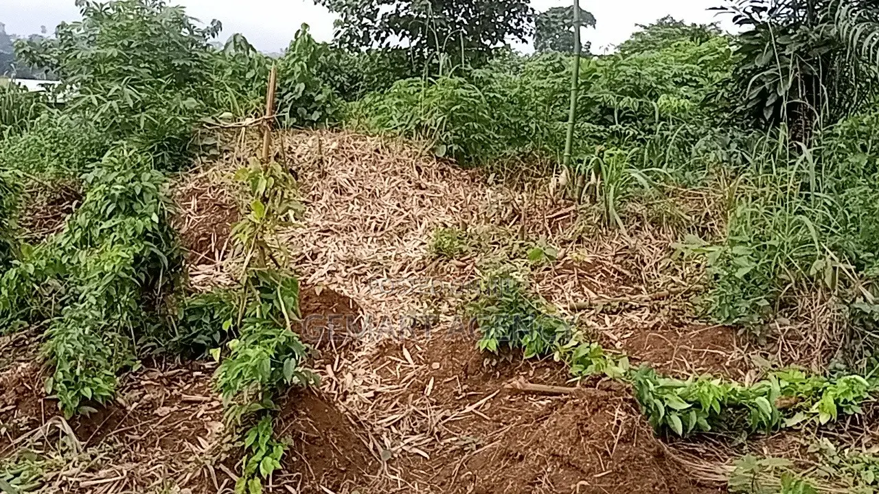 Plots of Land for Sale – Aburi Kitase