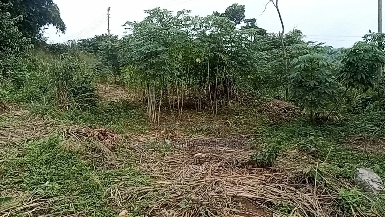 Plots of Land for Sale – Aburi Kitase