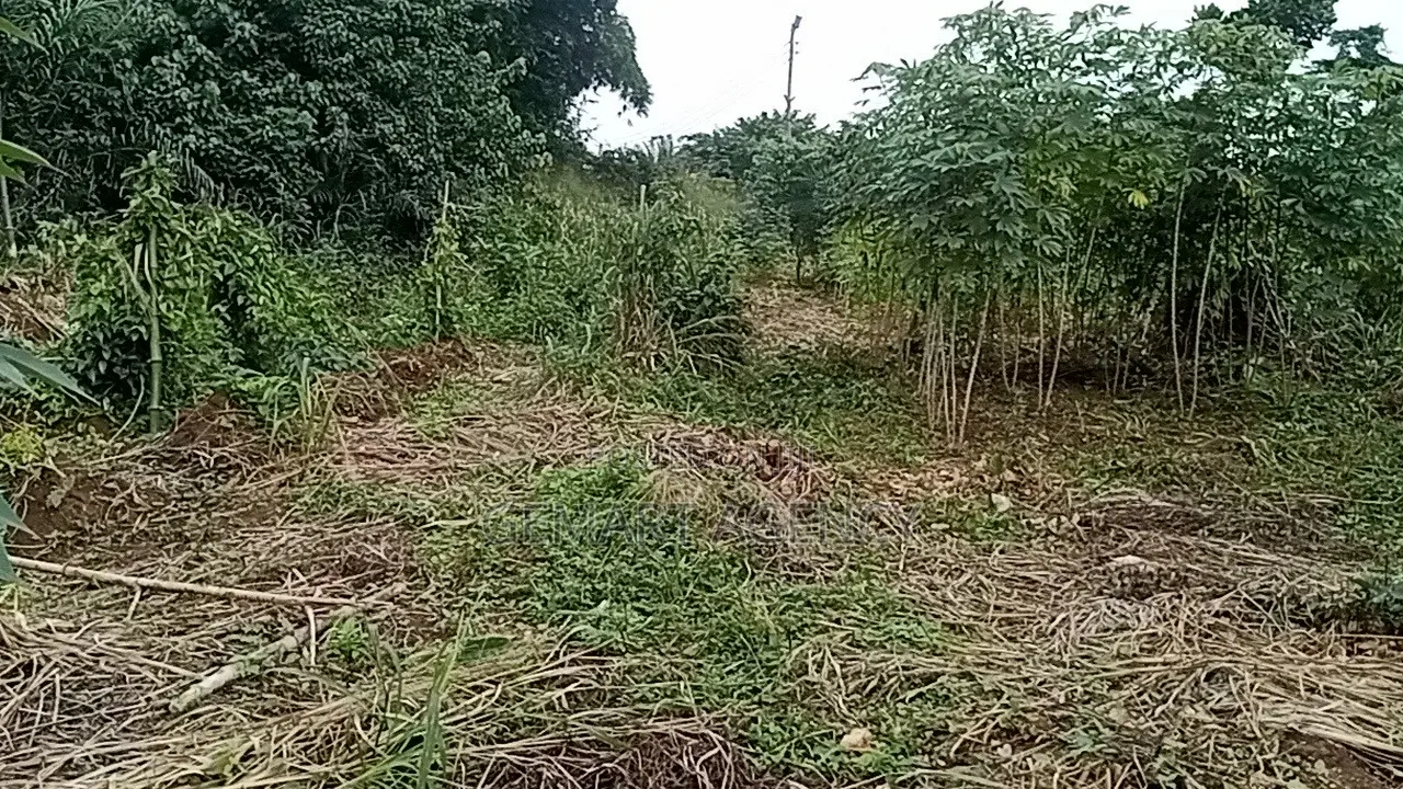 Plots of Land for Sale – Aburi Kitase