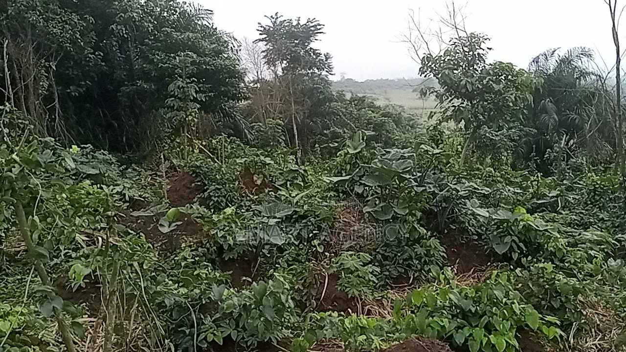Plots of Land for Sale – Aburi Kitase