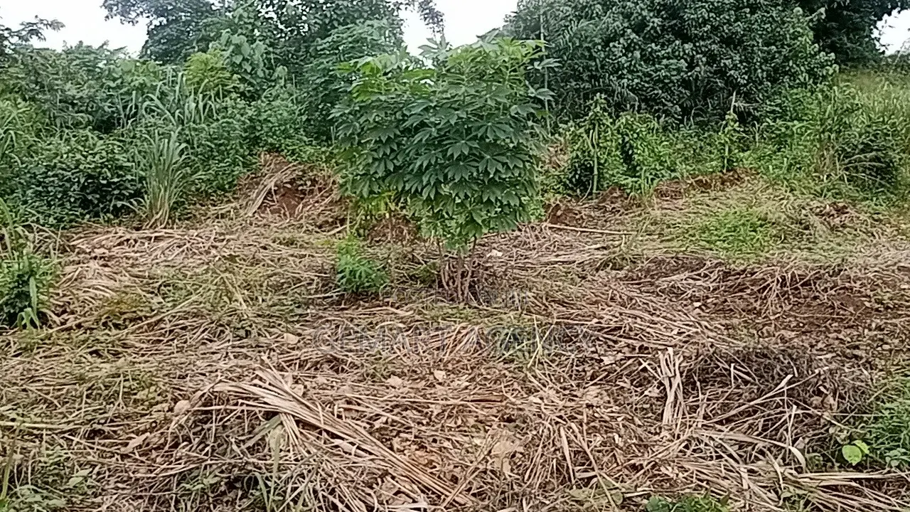 Plots of Land for Sale – Aburi Kitase