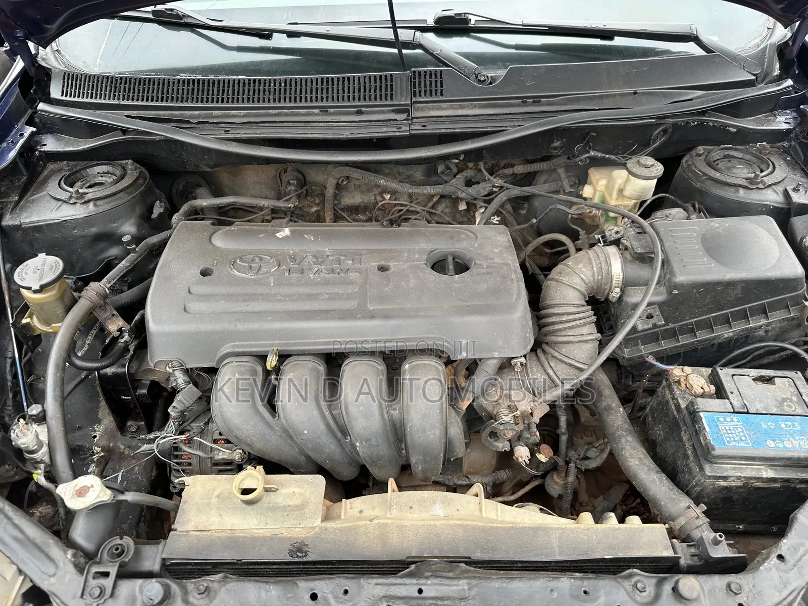 Toyota Matrix Hatchback FWD (1.8L 4cyl 5M) 2007 Blue