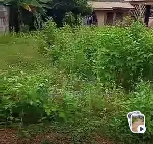 Plot With Two Rooms for Sale