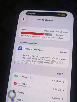 Apple iPhone 15 Pro Max 256 GB Black