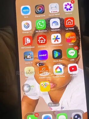 Apple iPhone 15 Pro Max 256 GB Black