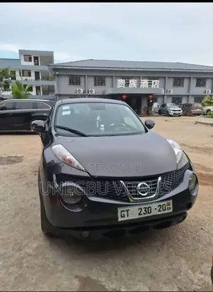 Nissan Juke NISMO 4dr Hatchback (1.6L 4cyl Turbo 6M) 2014 Gray
