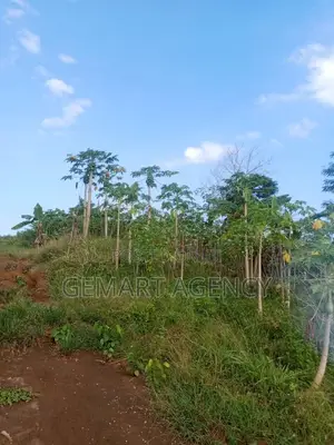 1 Plot of Land at Nsawam Okanta