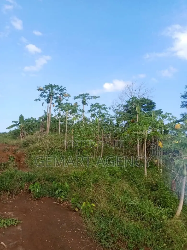 1 Plot of Land at Nsawam Okanta