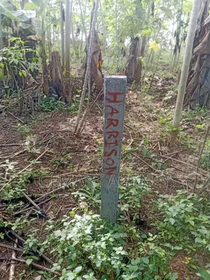 1 Plot of Land at Nsawam Okanta