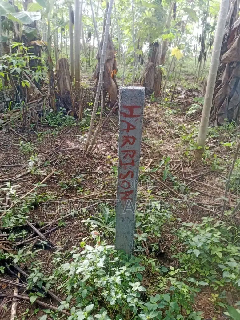 1 Plot of Land at Nsawam Okanta