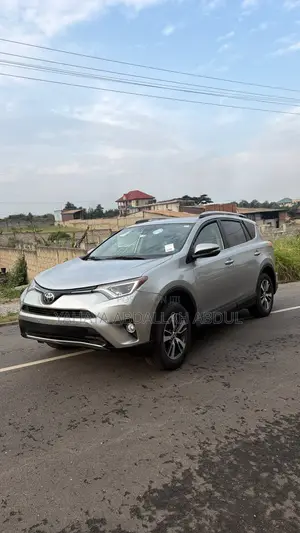 Toyota RAV4 XLE AWD (2.5L 4cyl 6A) 2017 Silver