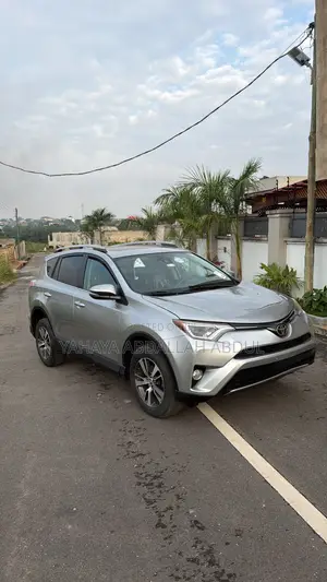 Toyota RAV4 XLE AWD (2.5L 4cyl 6A) 2017 Silver