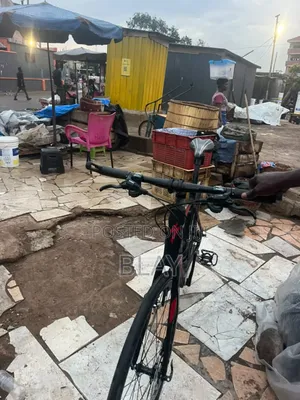 Hybrid Bicycle