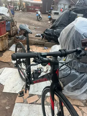 Hybrid Bicycle