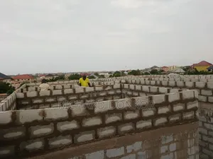 Professional Mason
