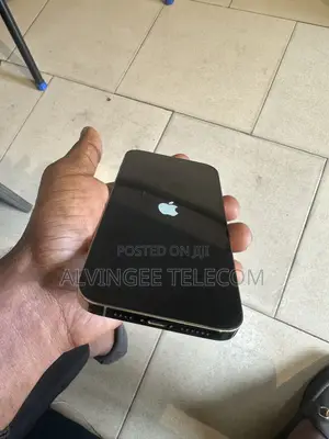 14 Pro Max Original iCloud Screen