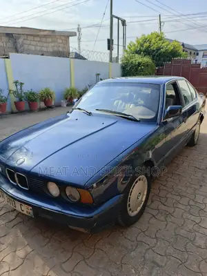 BMW 5 Series 1993 Blue