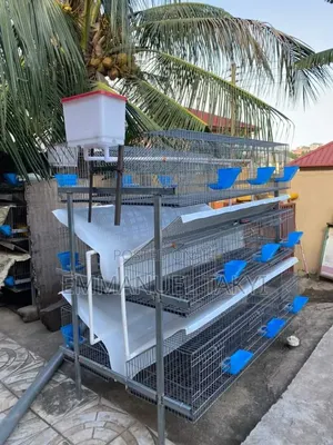 Rabbit Cage