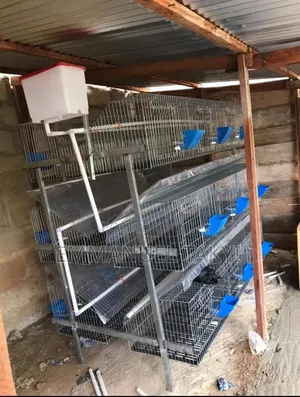 Rabbit Cage