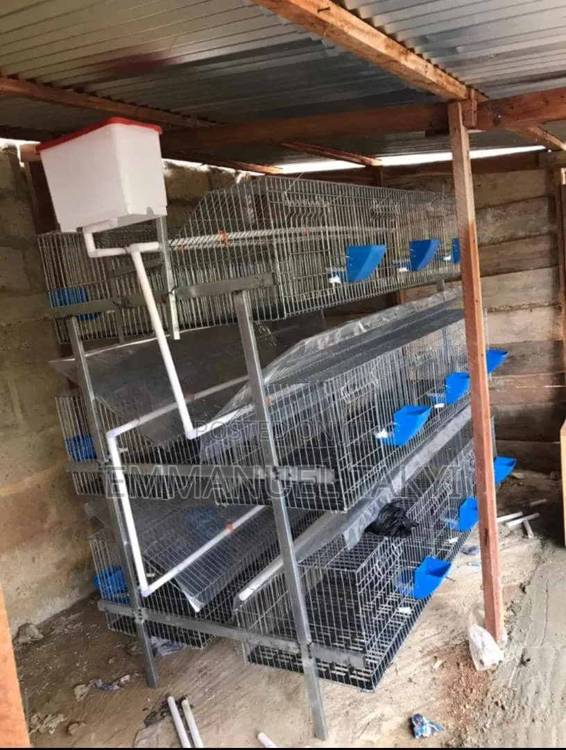 Rabbit Cage