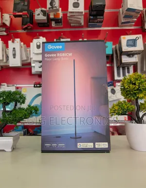 Govee RGBIC Floor Lamp Basic