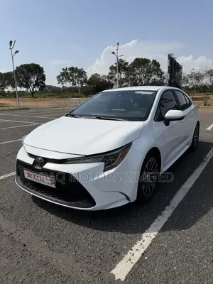 Toyota Corolla LE 2020 White
