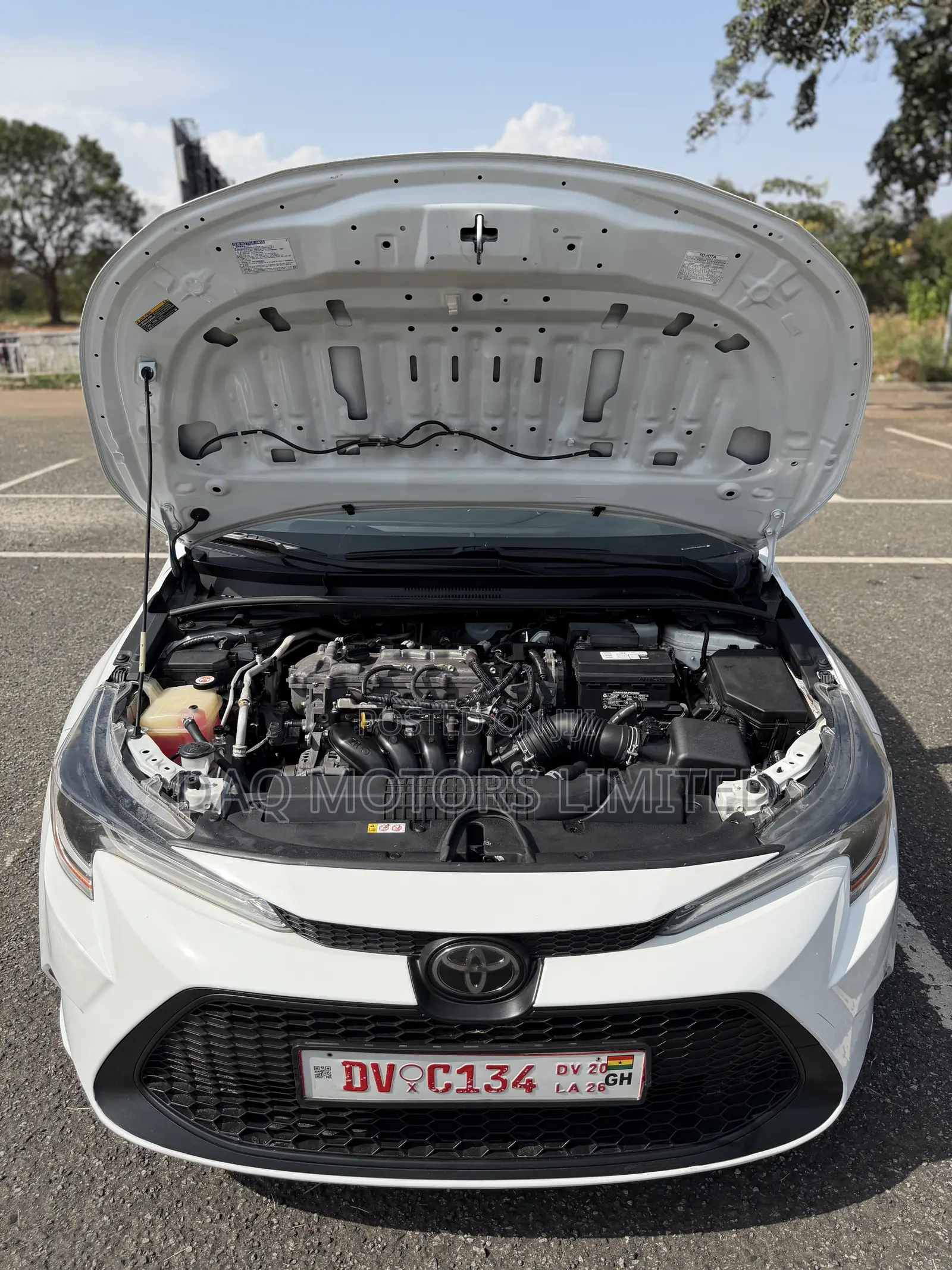 Toyota Corolla LE 2020 White