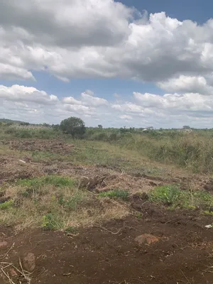 Securing Land, Securing Futures
