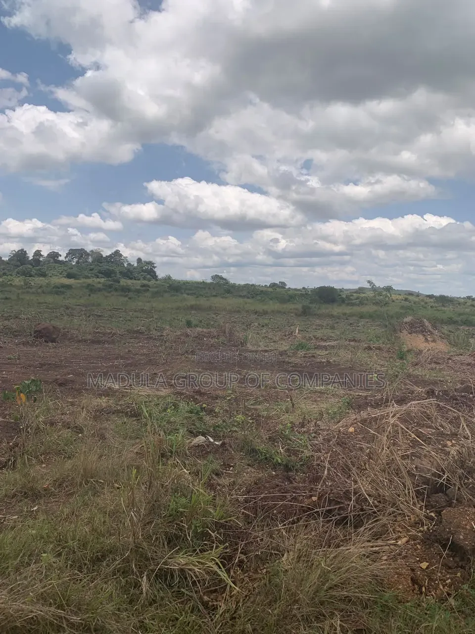 The Standard for Safe Land Investment