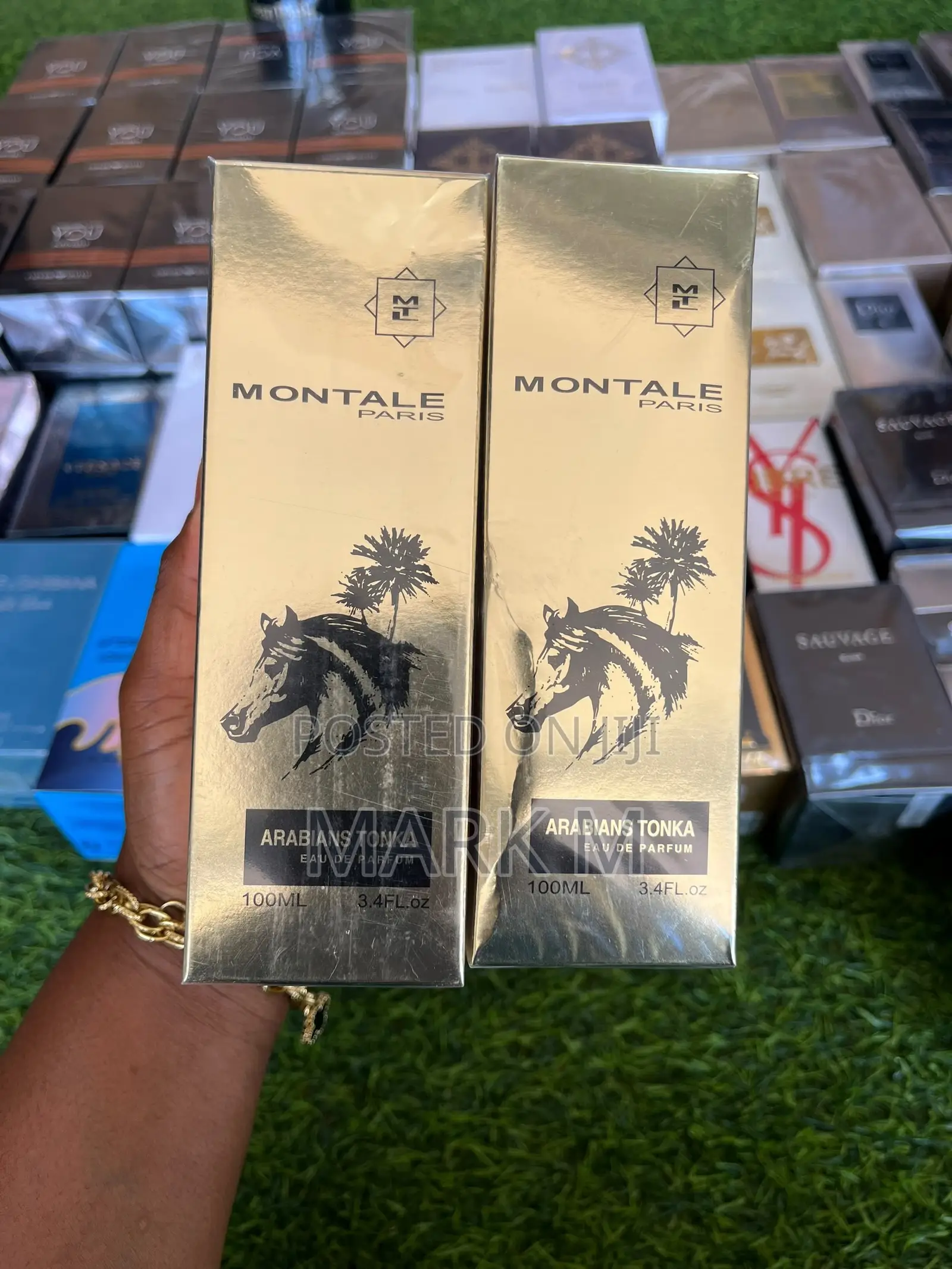 Montale Arabians Tonka