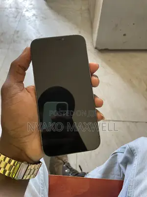 Apple iPhone 12 Pro Max 256 GB Gray