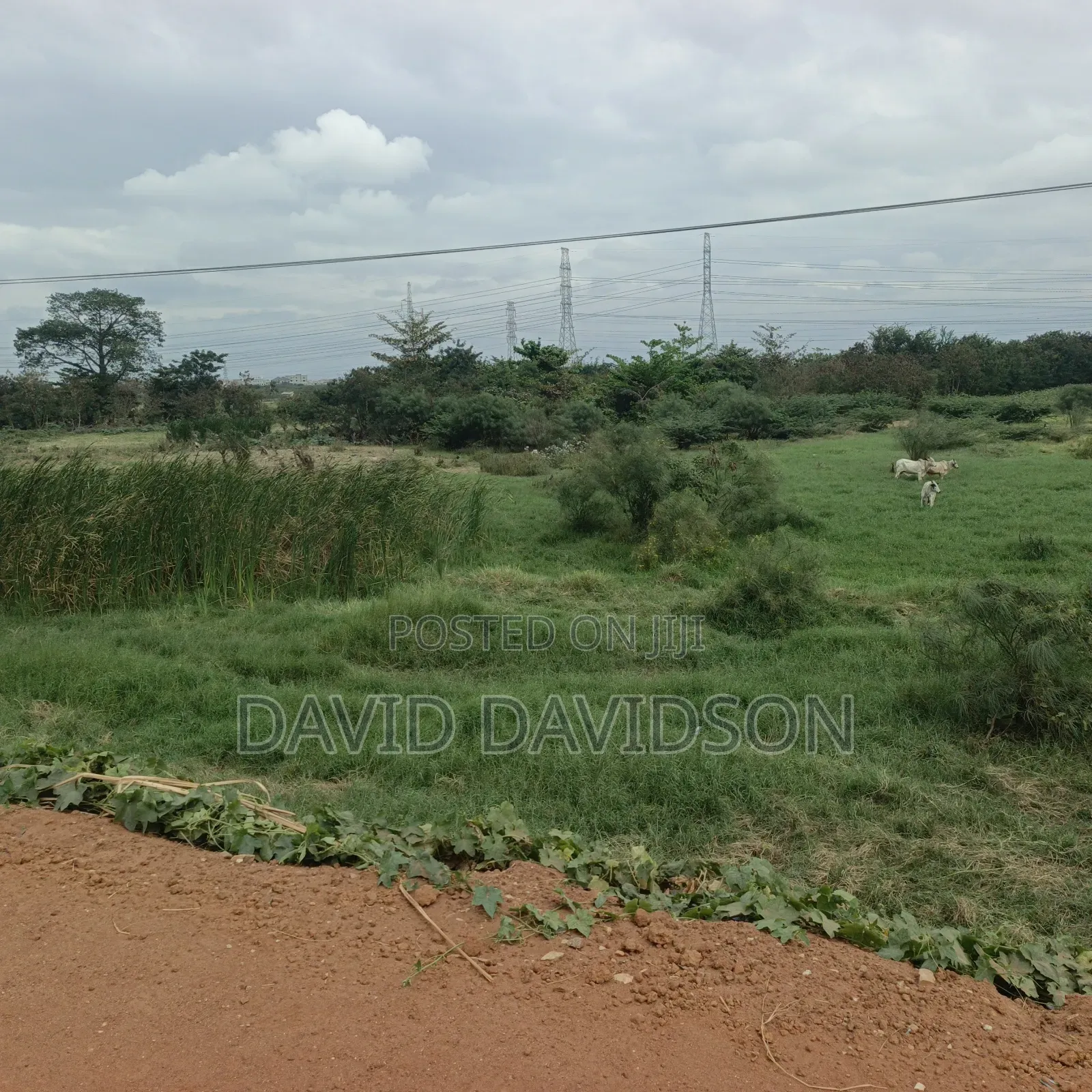 8 Acres of Land at Tema Motoway Commercial